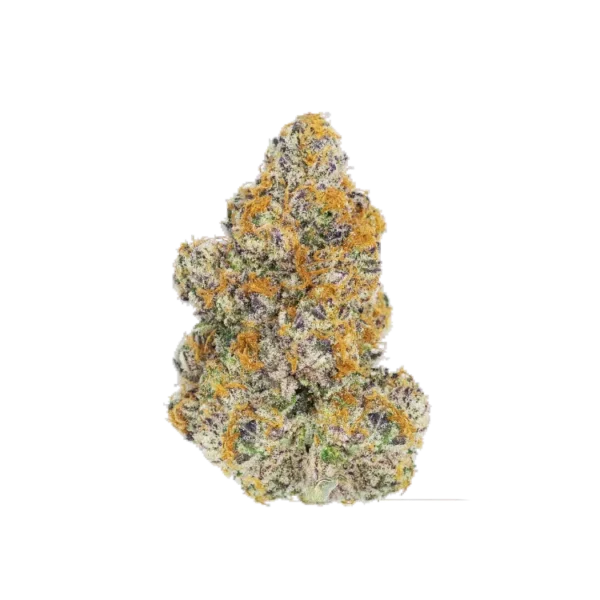 Gelato AAA THCA Flower – Hybrid – 1LB